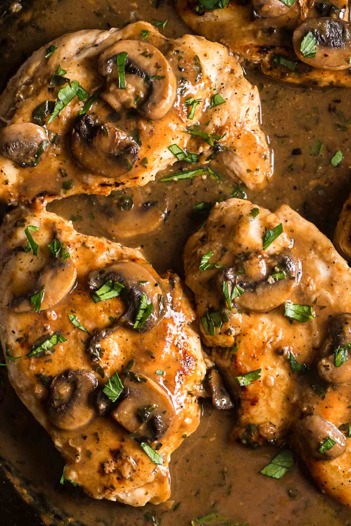 Marsala vs Masala Let’s Cook Chicken!