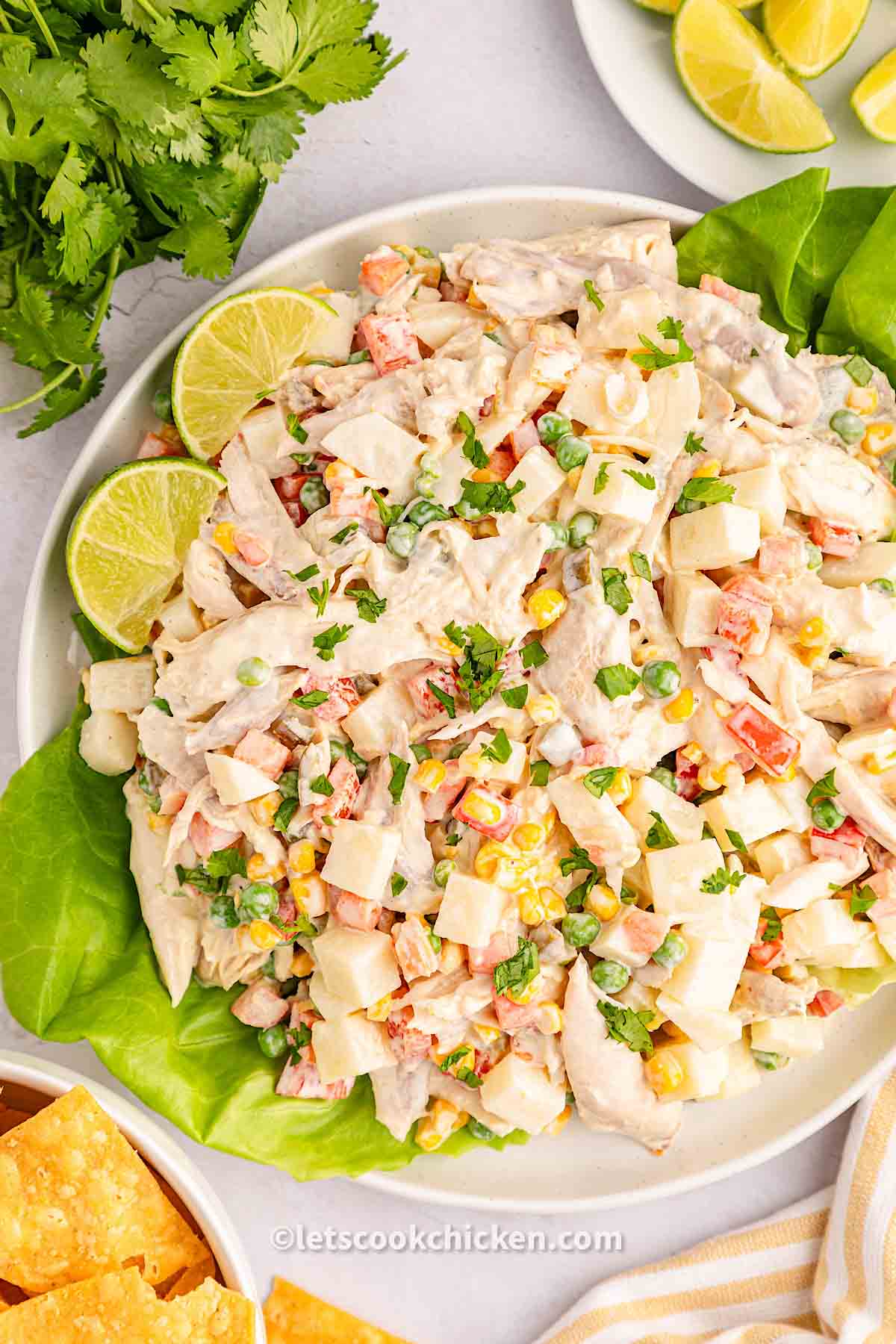 Overhead view of Mexican Chicken Salad (Ensalada de pollo).