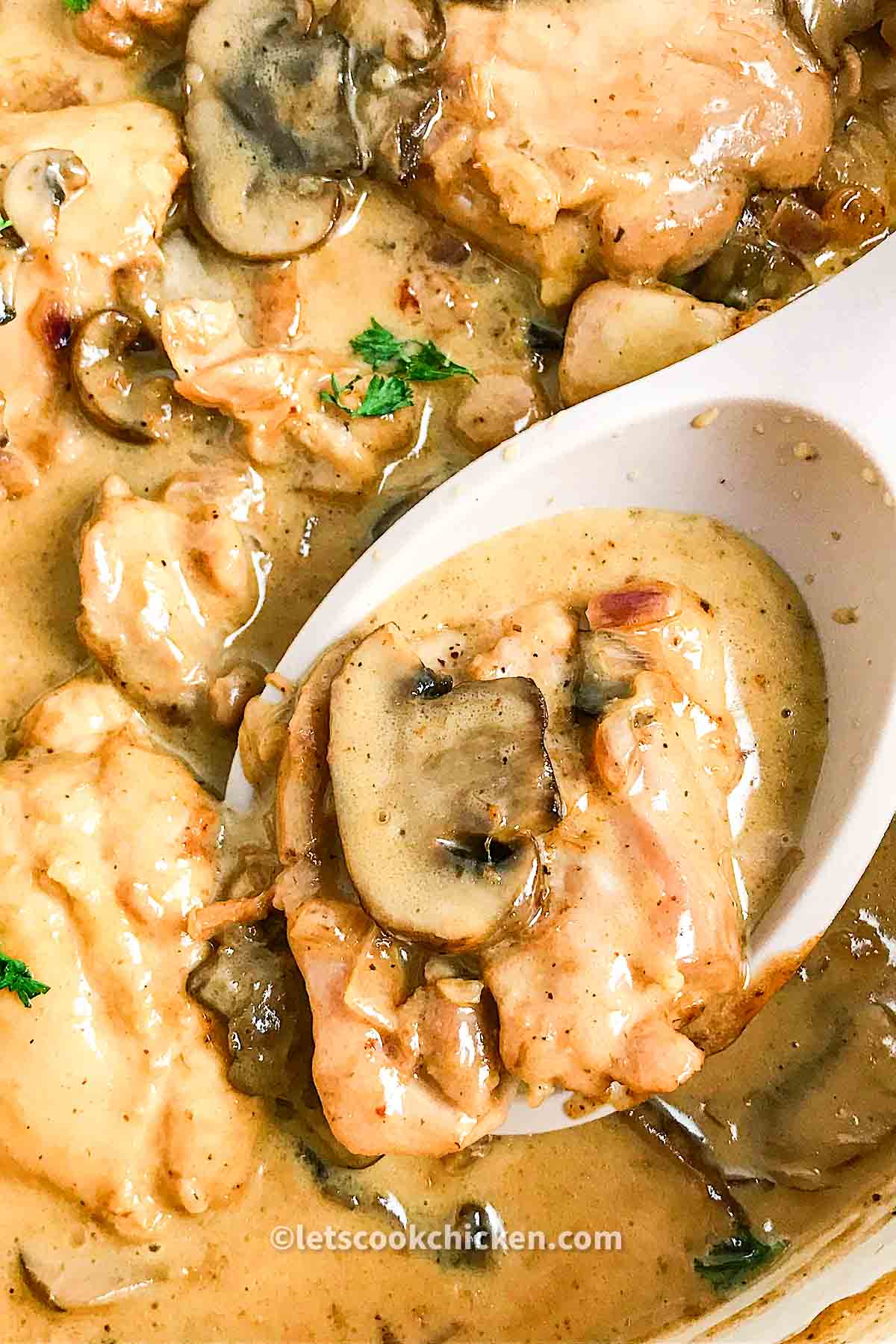 Chicken thigh marsala Let’s Cook Chicken!